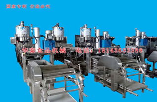 华泰食品机械 深耕豆制品加工机械研发，铸就通化干豆腐机卓越品质